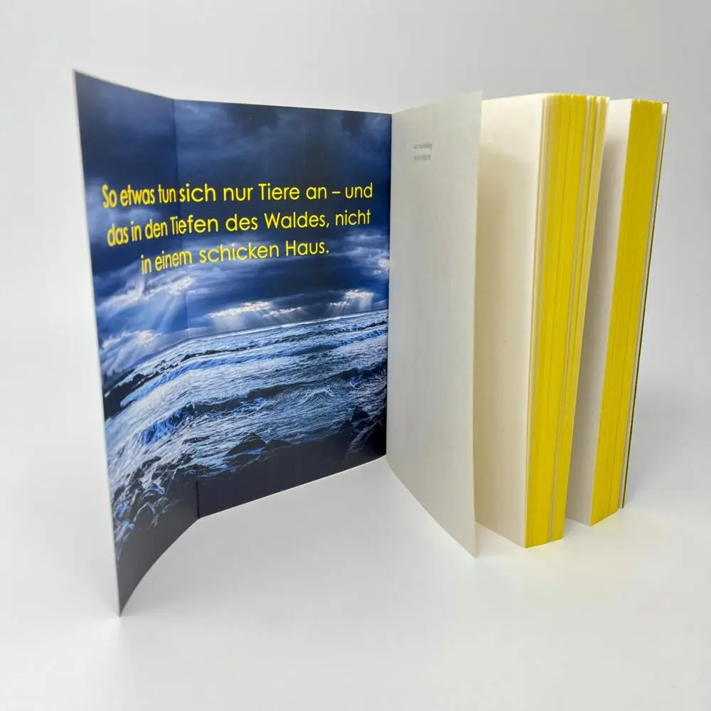 Bild: 9783864931796 | Nur du und ich | Laure Van Rensburg | Taschenbuch | 384 S. | Deutsch