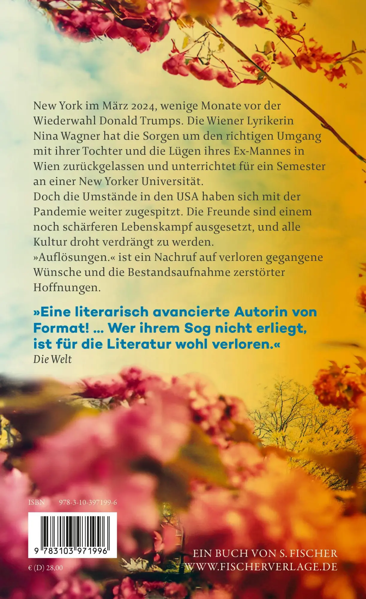 Rückseite: 9783103971996 | Auflösungen. | New York. | Marlene Streeruwitz | Buch | 416 S. | 2025