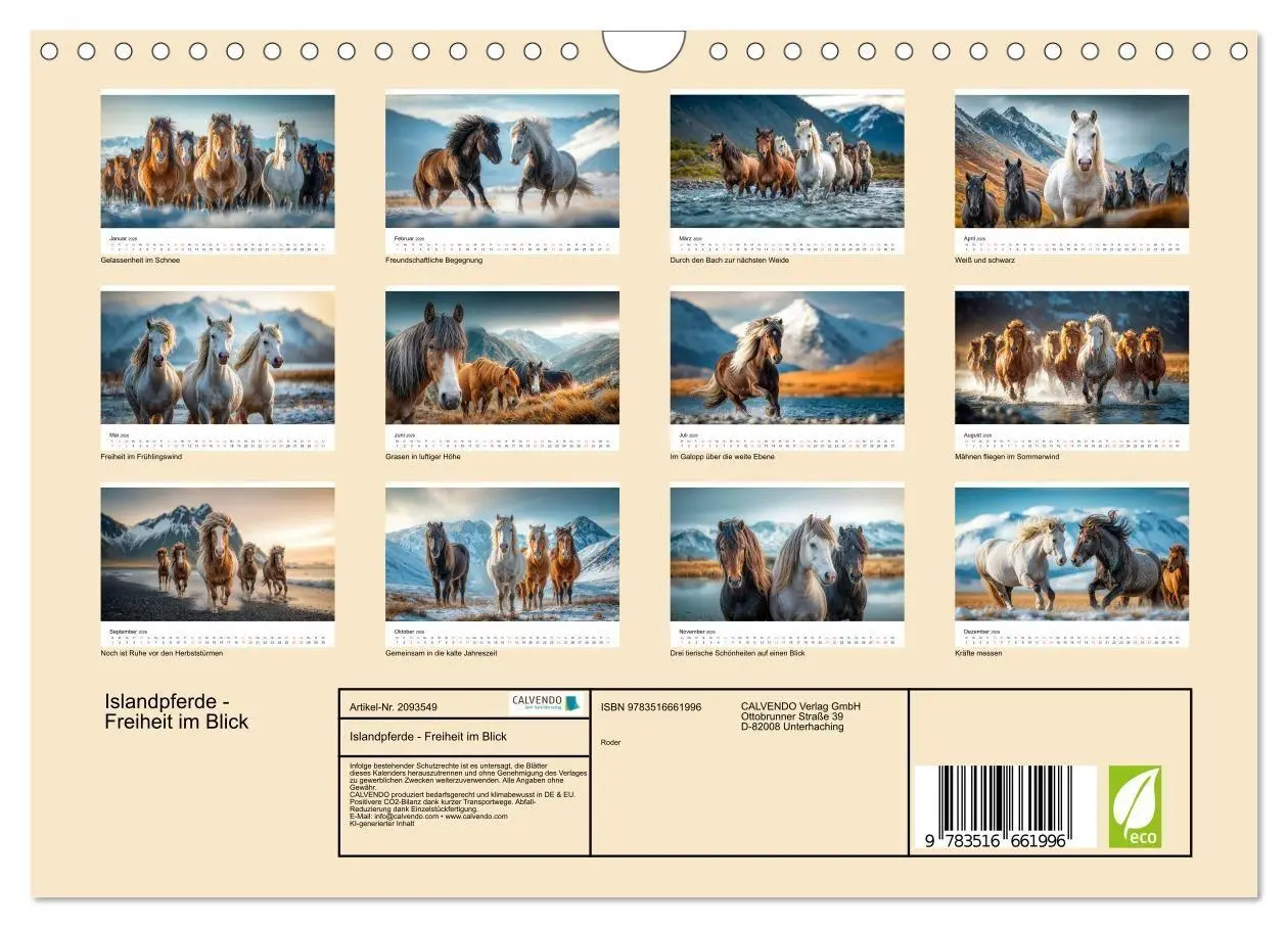 Bild: 9783516661996 | Islandpferde - Freiheit im Blick (Wandkalender 2026 DIN A4 quer),...