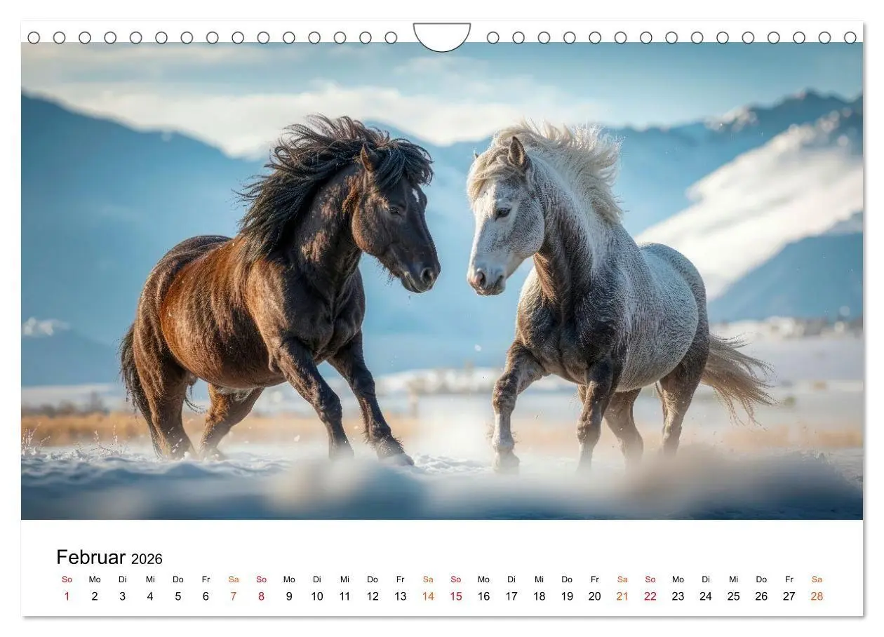 Bild: 9783516661996 | Islandpferde - Freiheit im Blick (Wandkalender 2026 DIN A4 quer),...