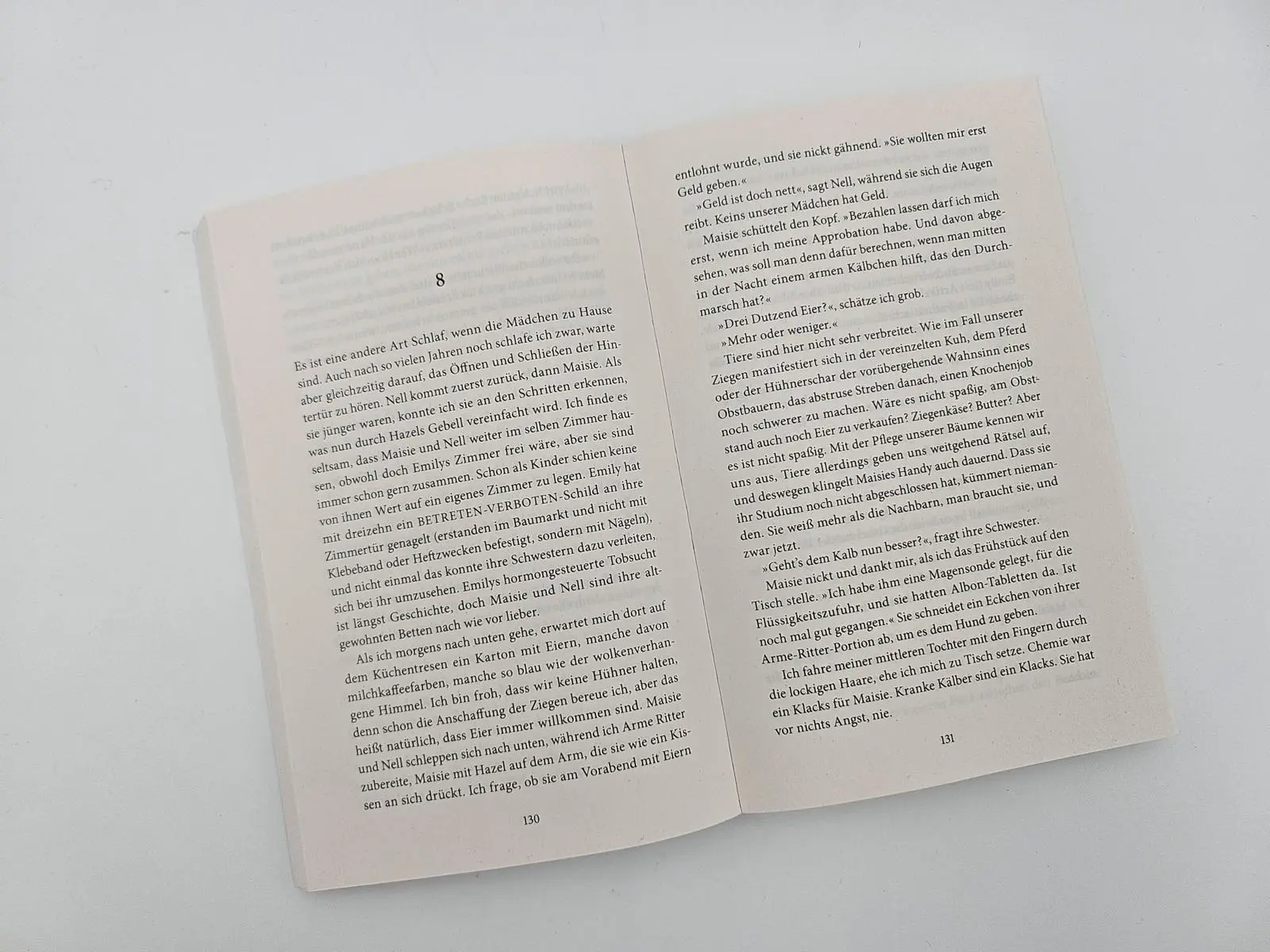 Bild: 9783492322096 | Der Sommer zu Hause | Roman New York Times Bestseller #1 | Patchett