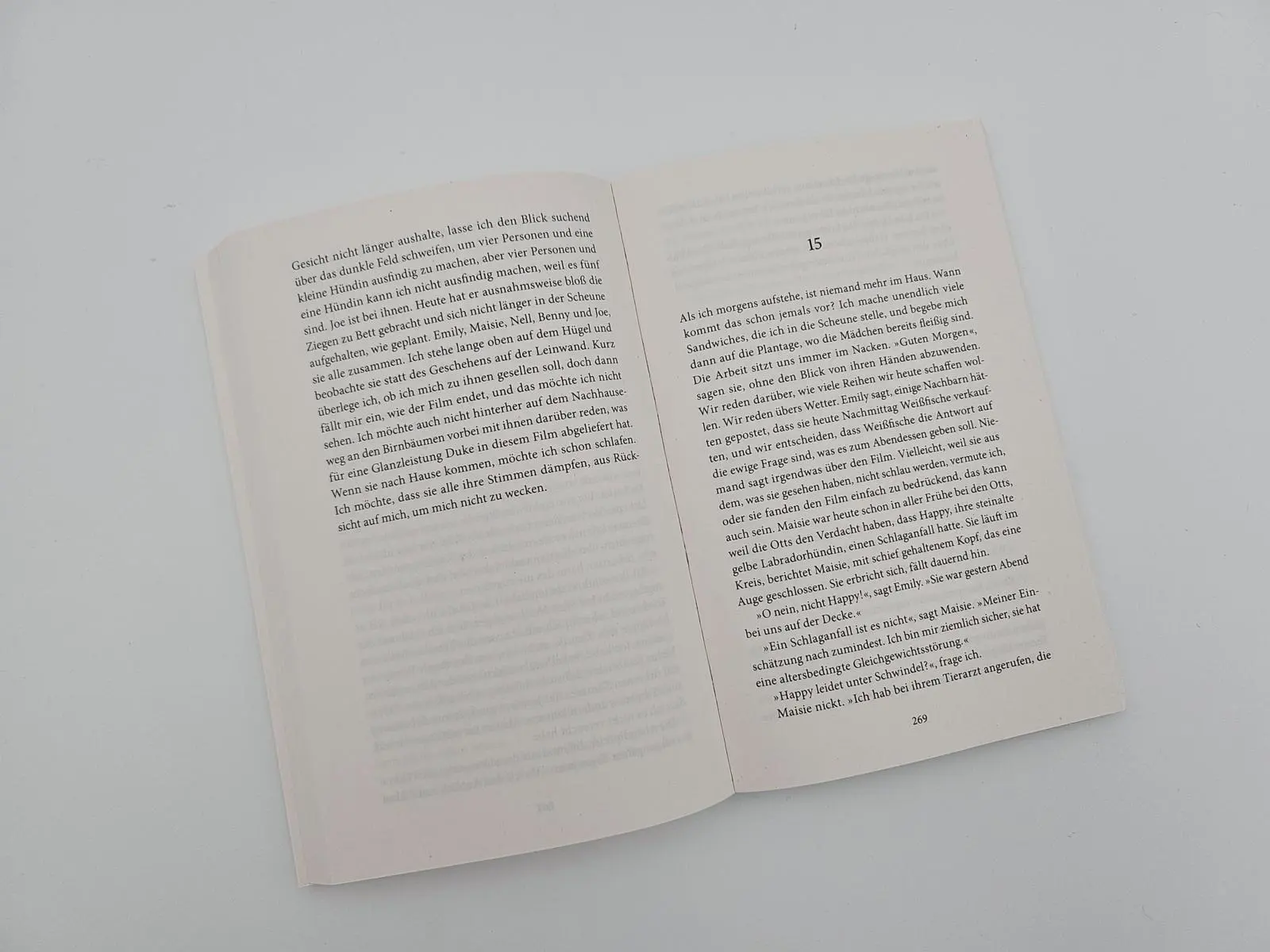 Bild: 9783492322096 | Der Sommer zu Hause | Roman New York Times Bestseller #1 | Patchett