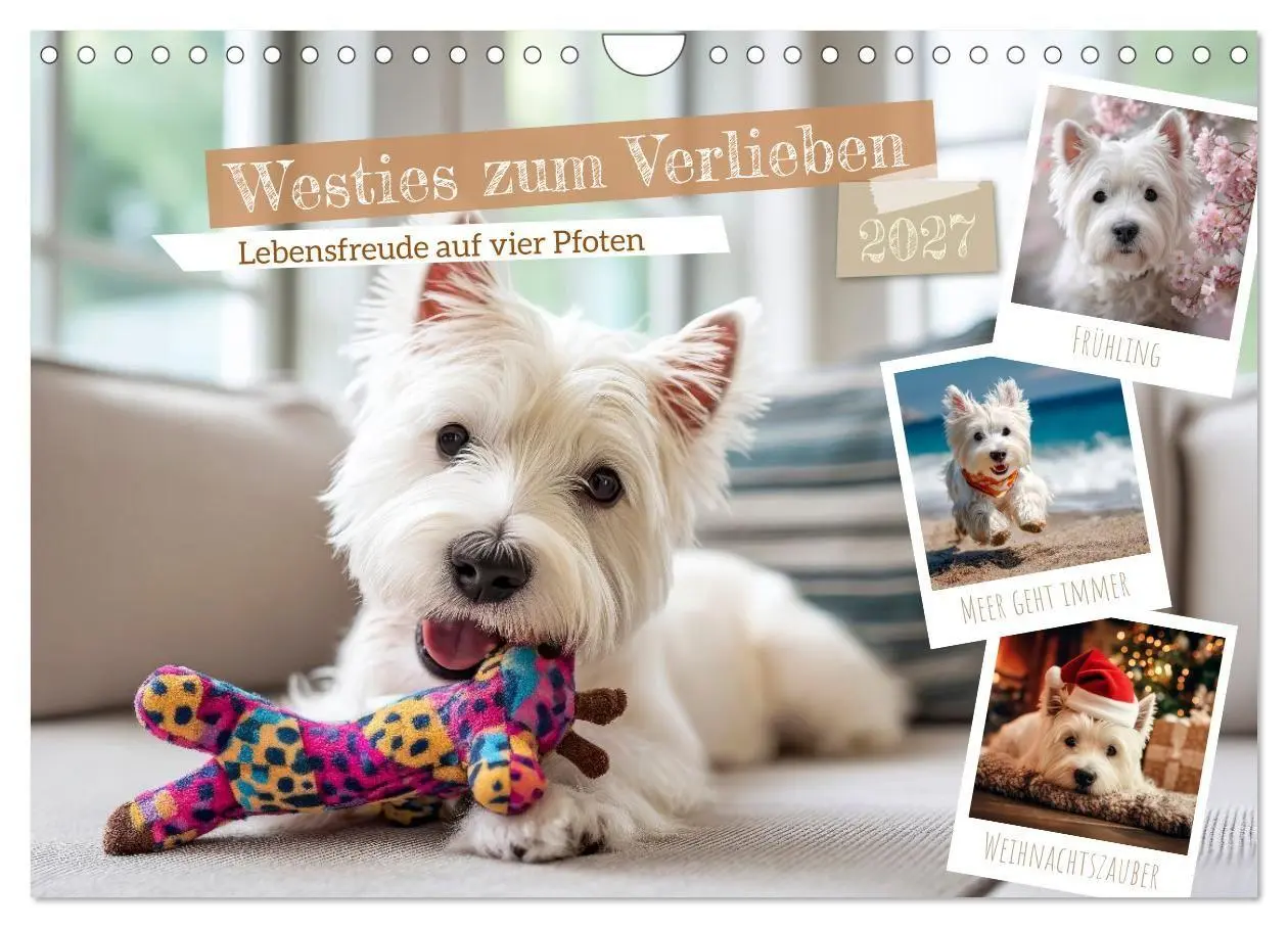 Cover: 9783594392096 | Westies zum Verlieben (Wandkalender 2027 DIN A4 quer), CALVENDO...