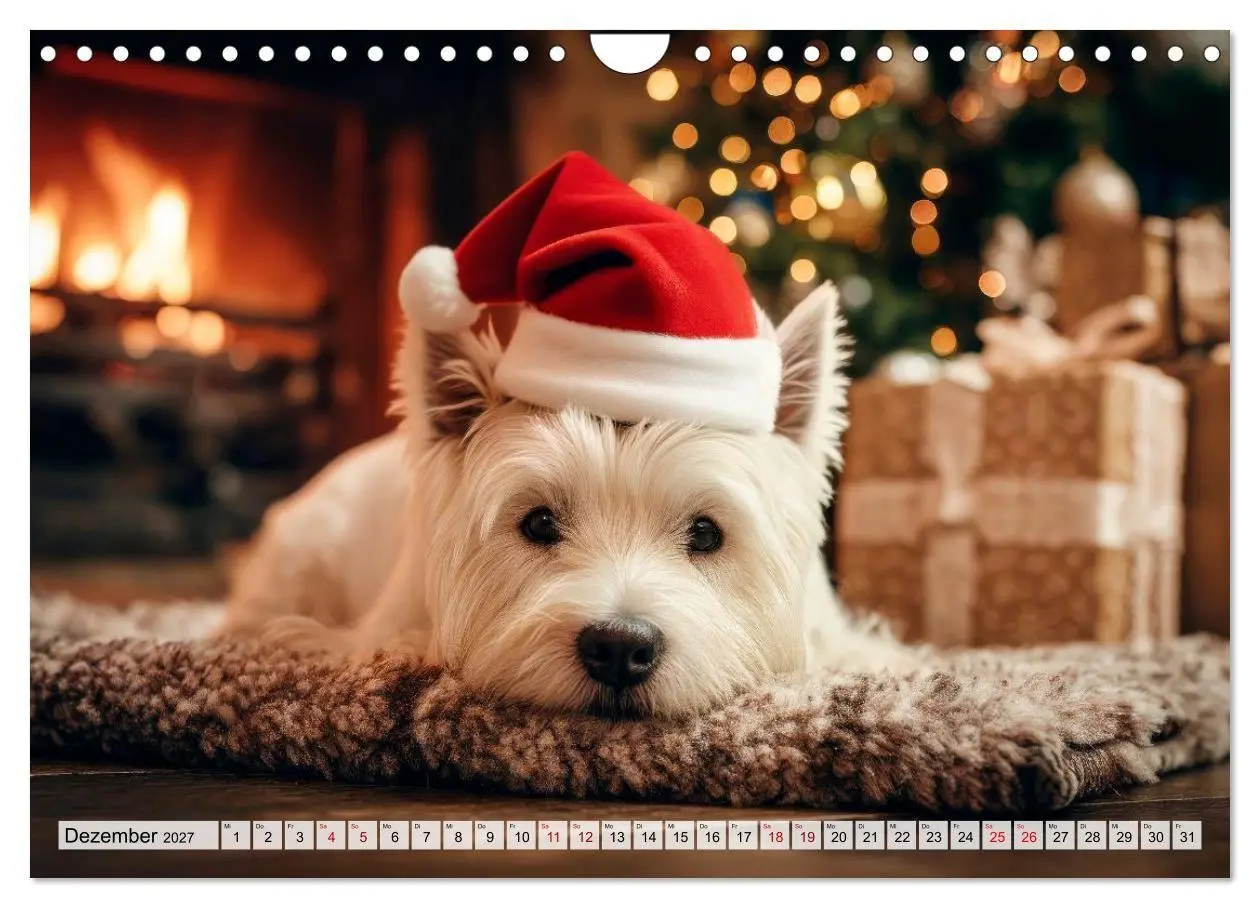 Bild: 9783594392096 | Westies zum Verlieben (Wandkalender 2027 DIN A4 quer), CALVENDO...