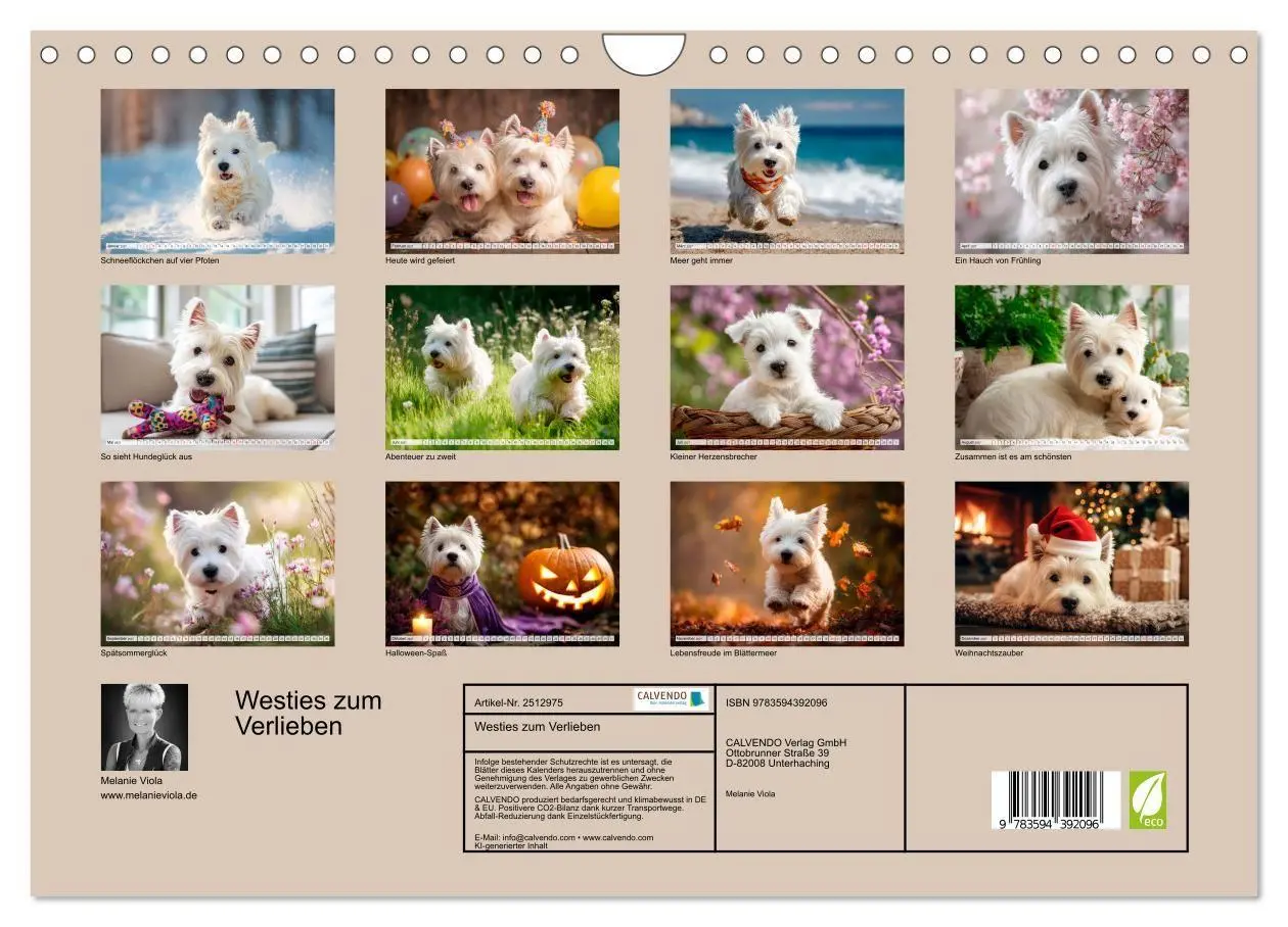 Bild: 9783594392096 | Westies zum Verlieben (Wandkalender 2027 DIN A4 quer), CALVENDO...