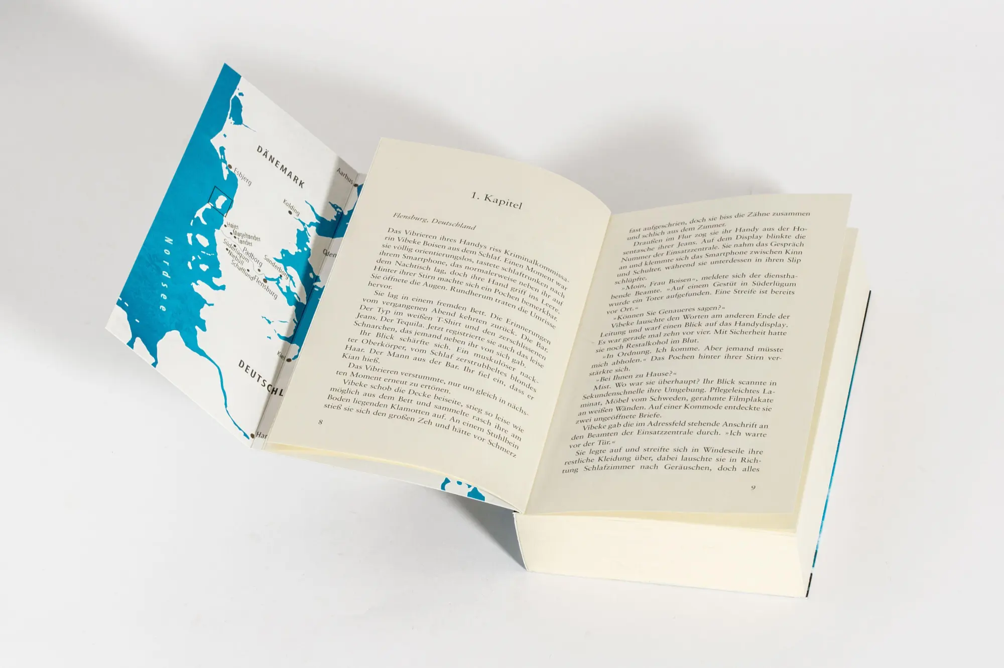 Bild: 9783734112096 | Nordlicht - Das fremde Gesicht | Anette Hinrichs | Taschenbuch | 2026