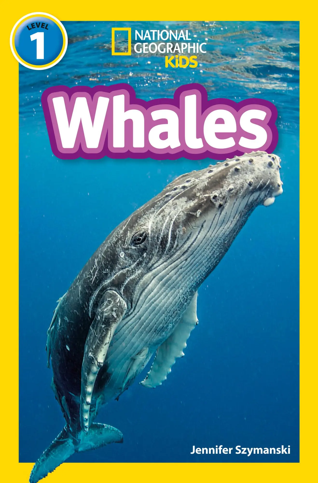 Cover: 9780008422196 | Whales | Level 1 | Jennifer Szymanski (u. a.) | Taschenbuch | Englisch