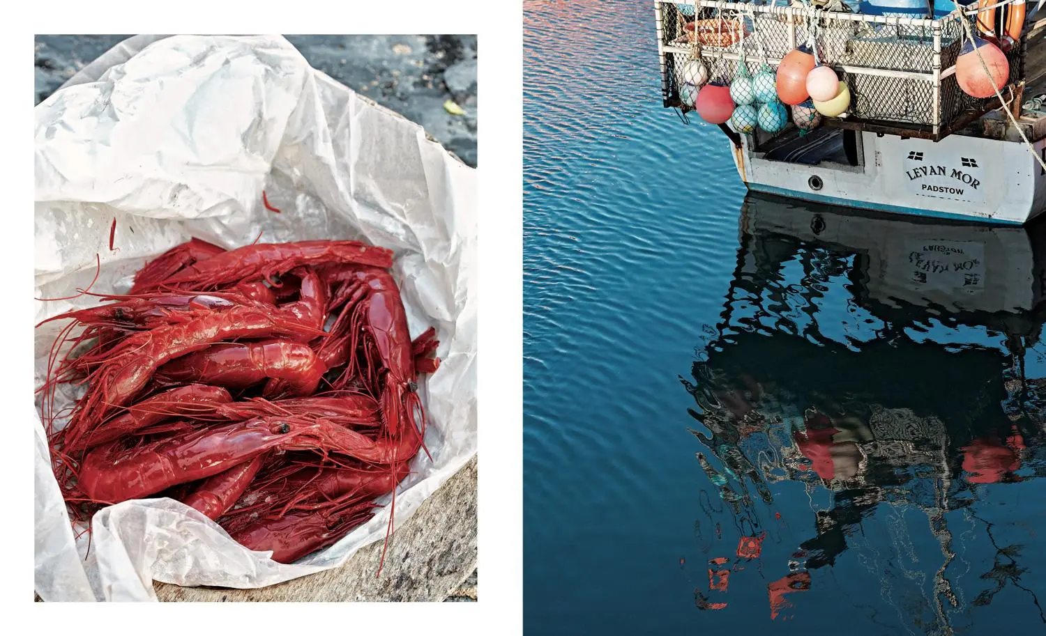Bild: 9781911682196 | Prawn on the Lawn | Fish and Seafood to Share | Rick Toogood (u. a.)