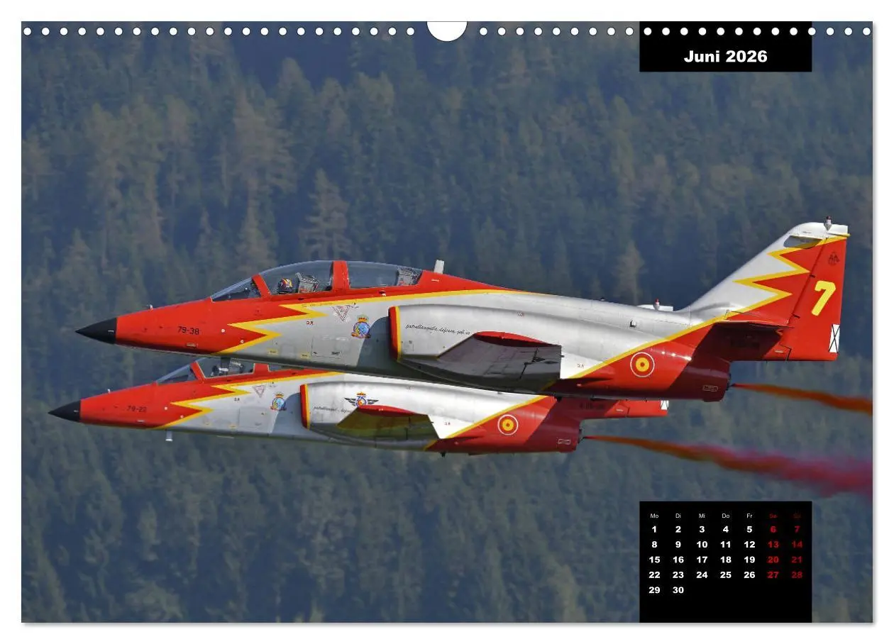Bild: 9783457832196 | Flügel über den Alpen (Wandkalender 2026 DIN A3 quer), CALVENDO...
