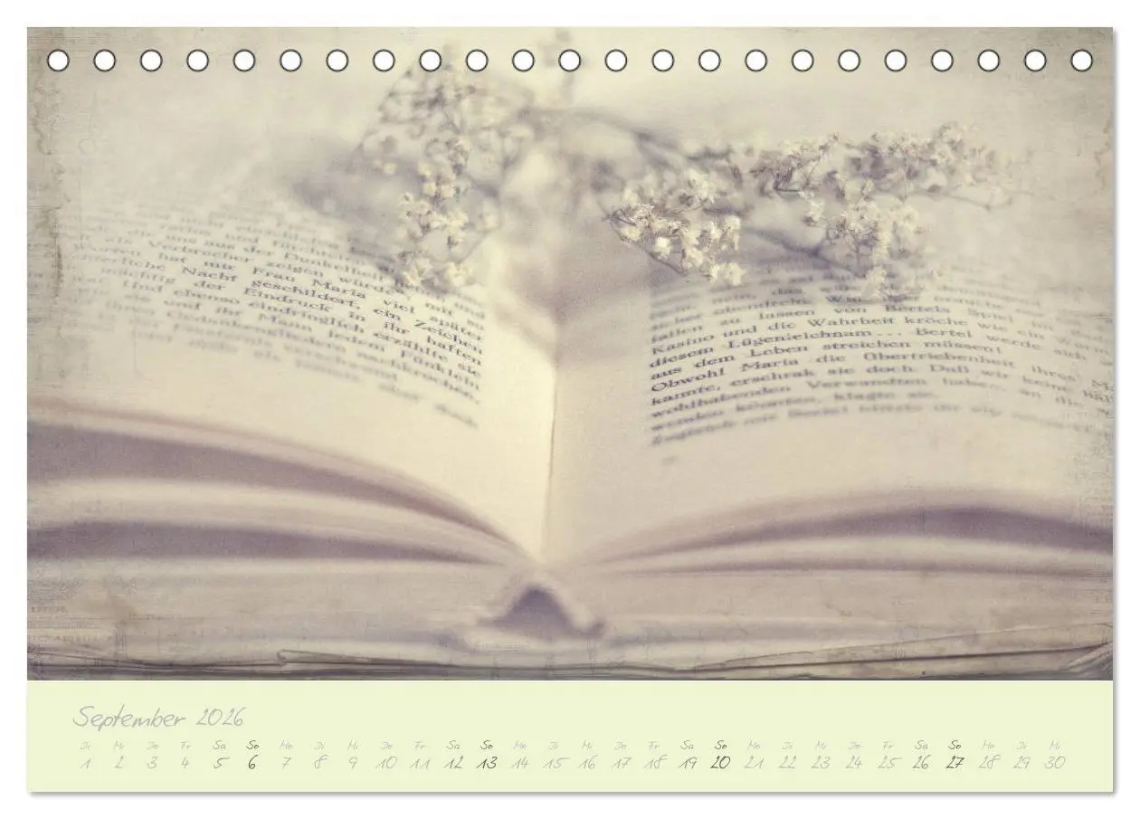 Bild: 9783457902196 | Shabby ist Chic (Tischkalender 2026 DIN A5 quer), CALVENDO...