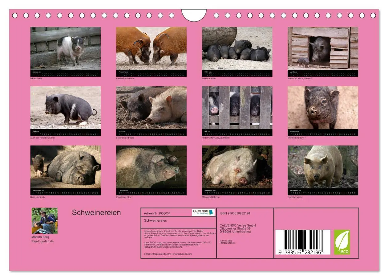 Bild: 9783516232196 | Schweinereien (Wandkalender 2026 DIN A4 quer), CALVENDO Monatskalender
