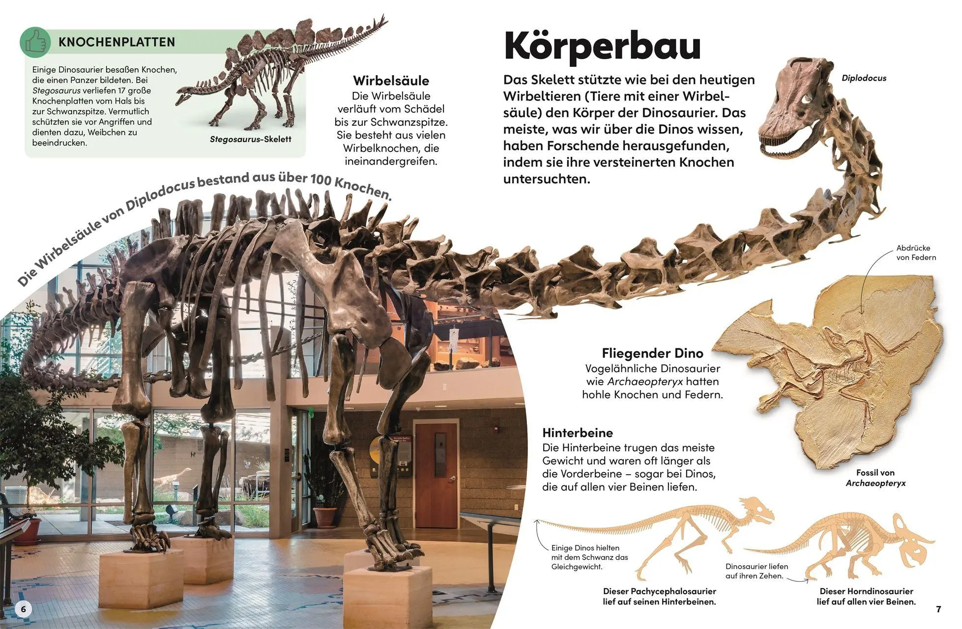Bild: 9783831052196 | memo Wissen Kids. Dinosaurier | DK Verlag - Kids | Buch | 56 S. | 2026