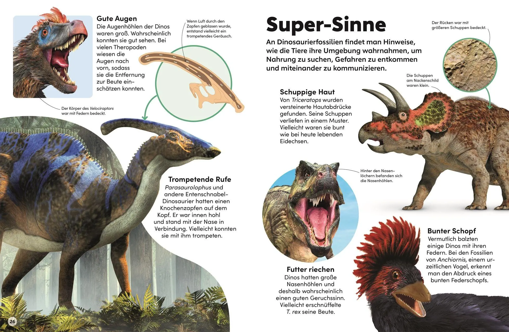 Bild: 9783831052196 | memo Wissen Kids. Dinosaurier | DK Verlag - Kids | Buch | 56 S. | 2026