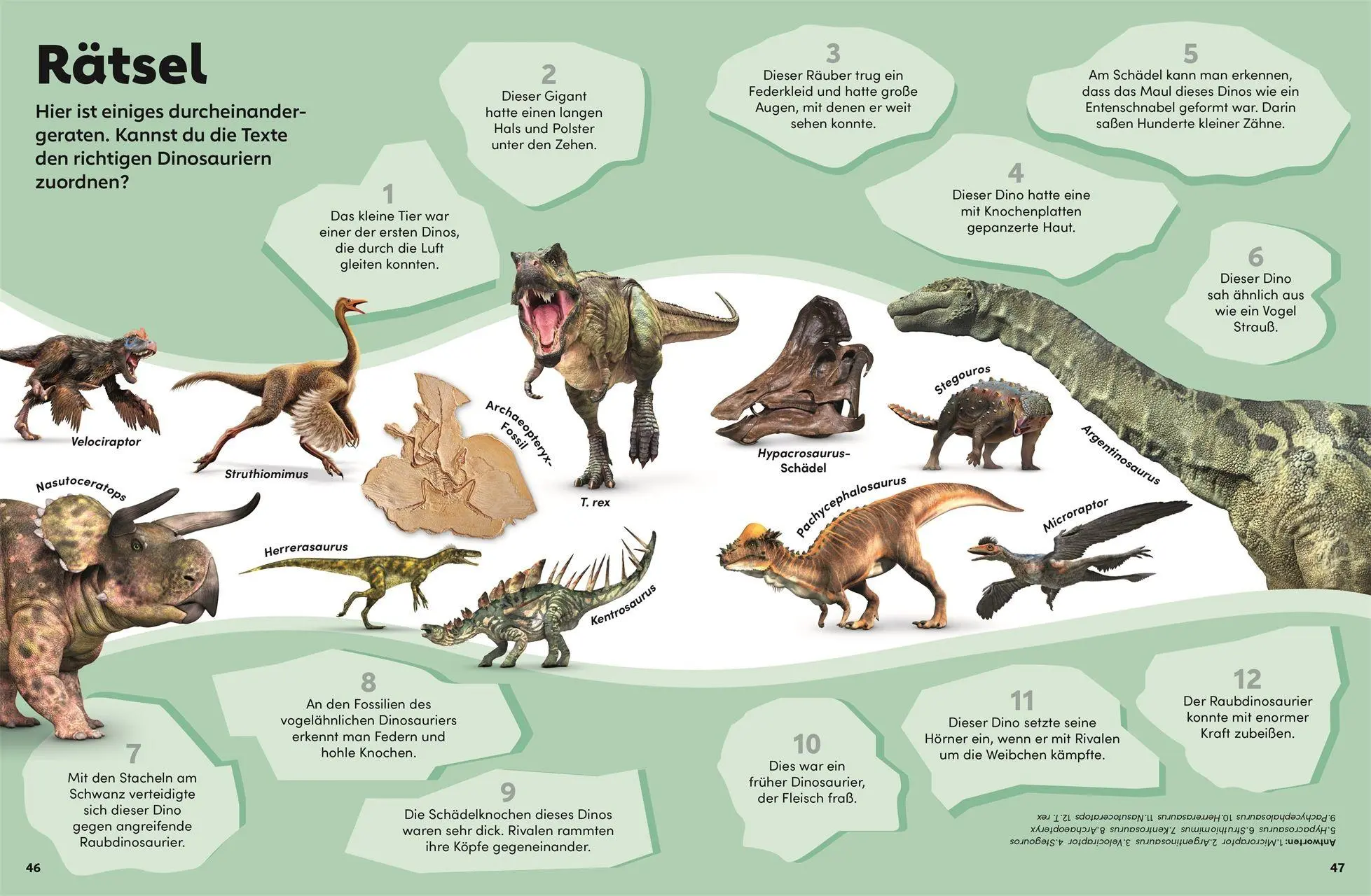 Bild: 9783831052196 | memo Wissen Kids. Dinosaurier | DK Verlag - Kids | Buch | 56 S. | 2026