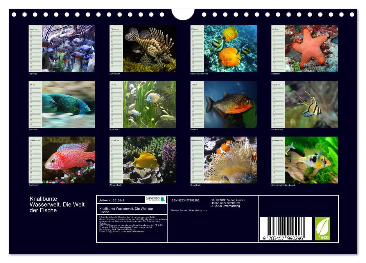 Bild: 9783457992296 | Knallbunte Wasserwelt. Die Welt der Fische (Wandkalender 2026 DIN...