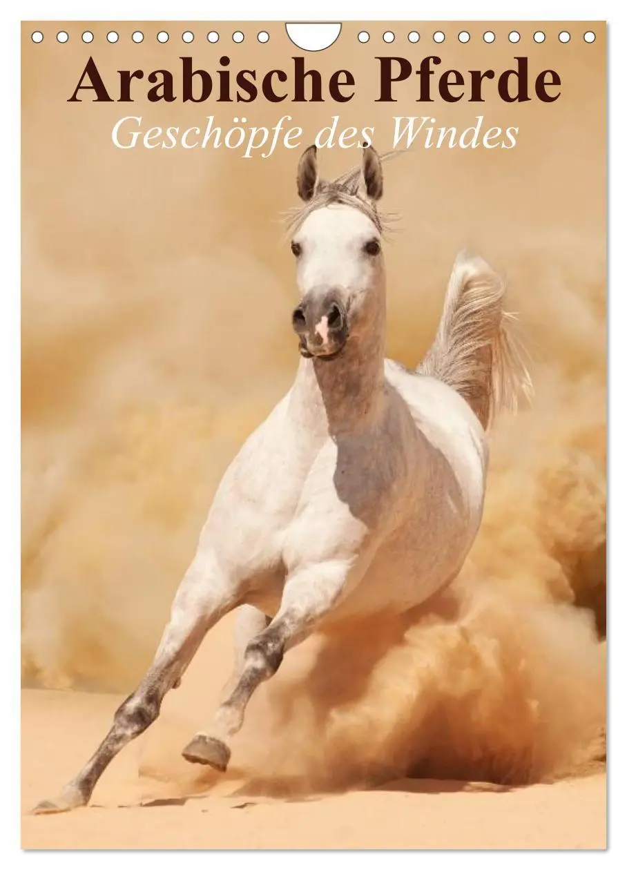 Cover: 9783516462296 | Arabische Pferde ¿ Geschöpfe des Windes (Wandkalender 2026 DIN A4...