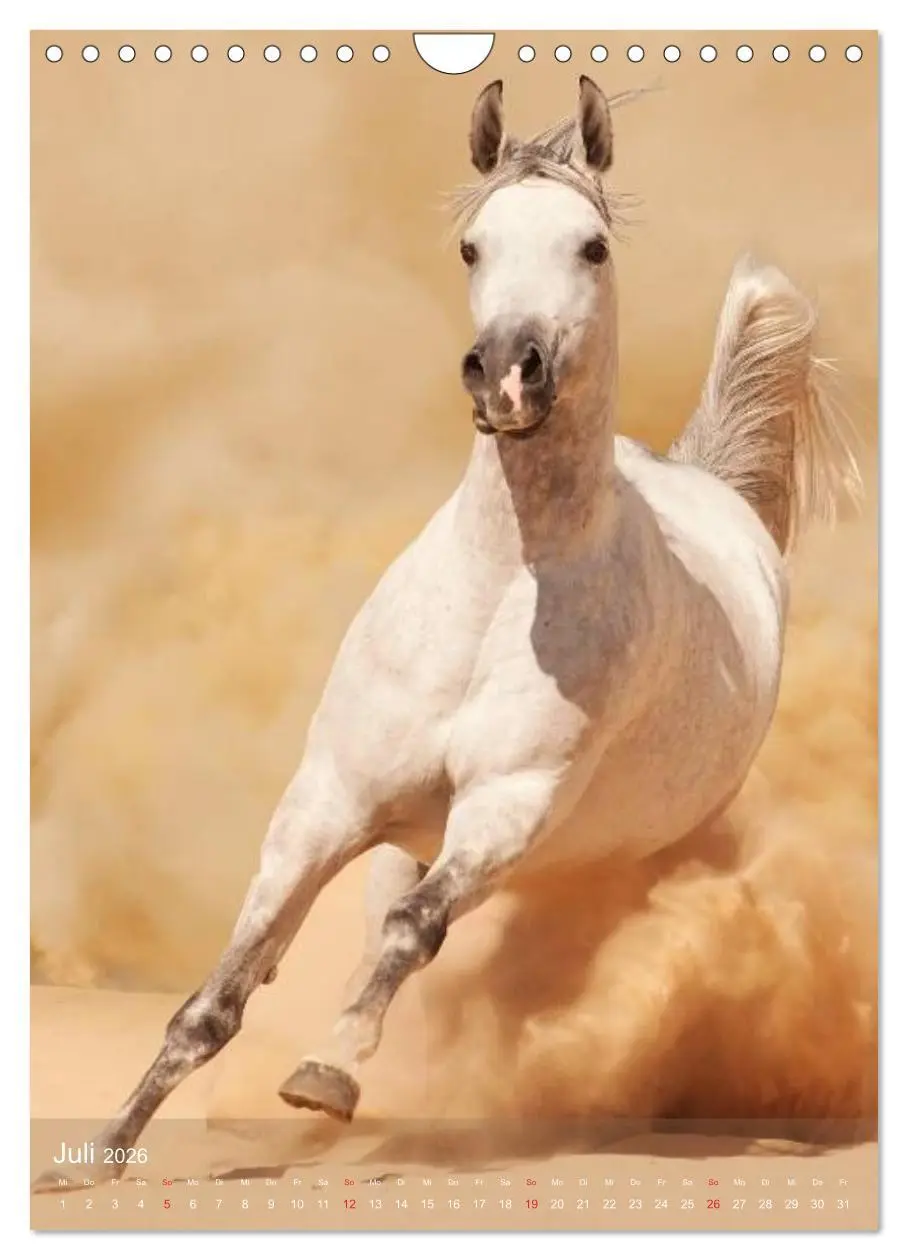 Bild: 9783516462296 | Arabische Pferde ¿ Geschöpfe des Windes (Wandkalender 2026 DIN A4...