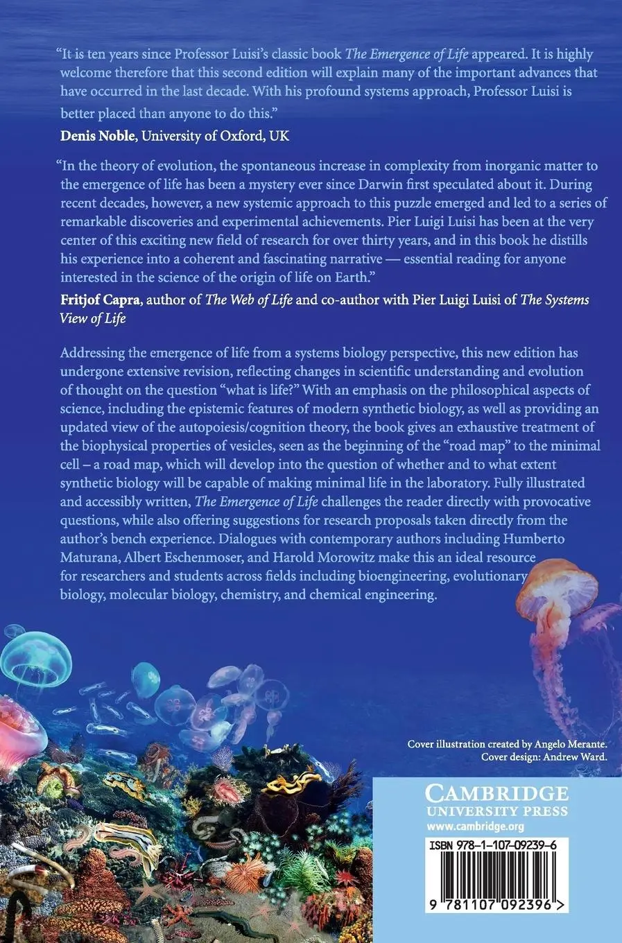 Rückseite: 9781107092396 | The Emergence of Life | Pier Luigi Luisi | Buch | Englisch | 2016
