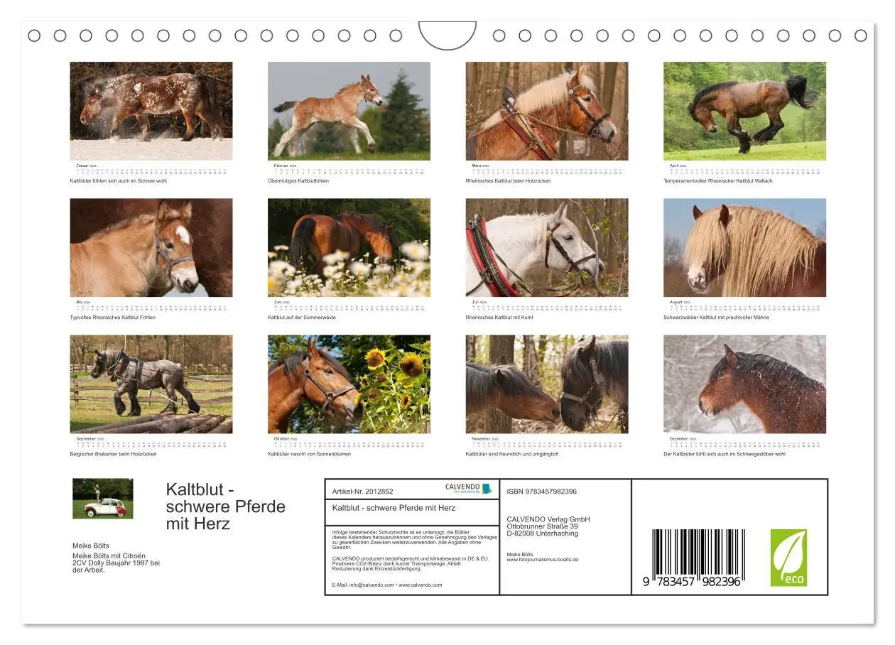 Bild: 9783457982396 | Kaltblut - schwere Pferde mit Herz (Wandkalender 2026 DIN A4 quer),...
