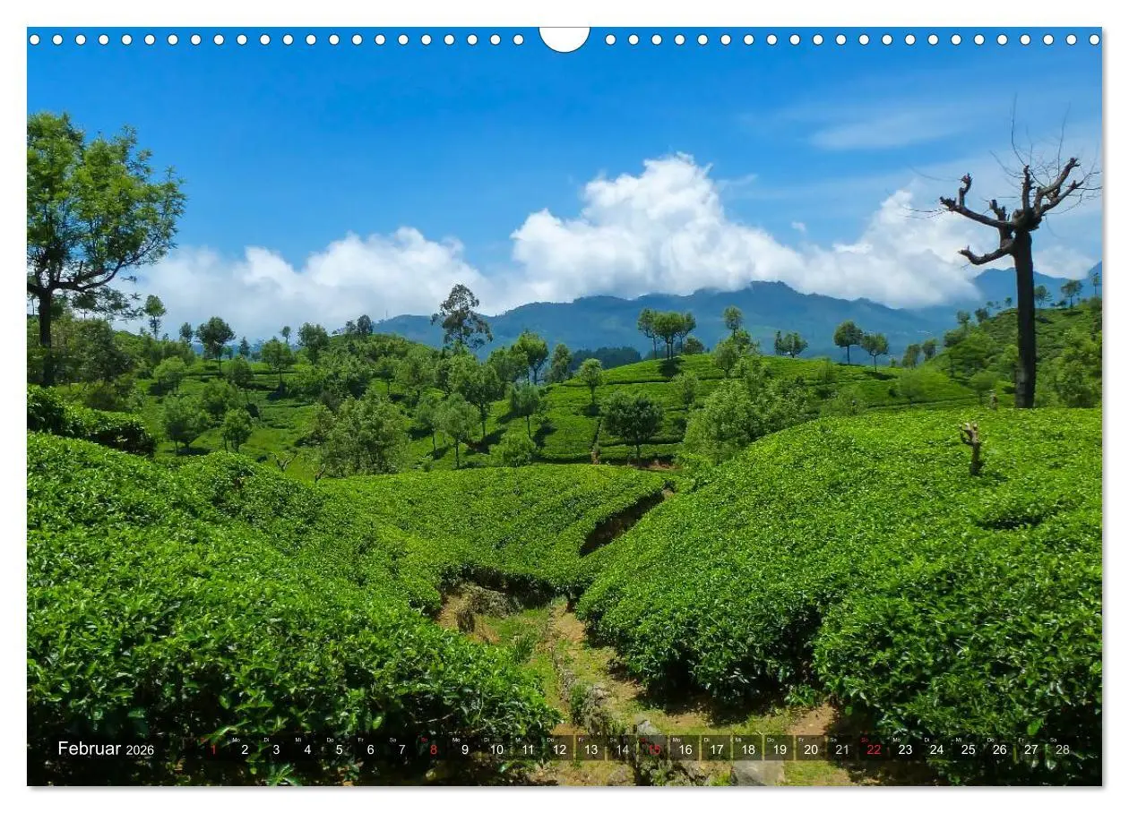 Bild: 9783516212396 | Sri Lanka - Eine Bilder-Reise (Wandkalender 2026 DIN A3 quer),...