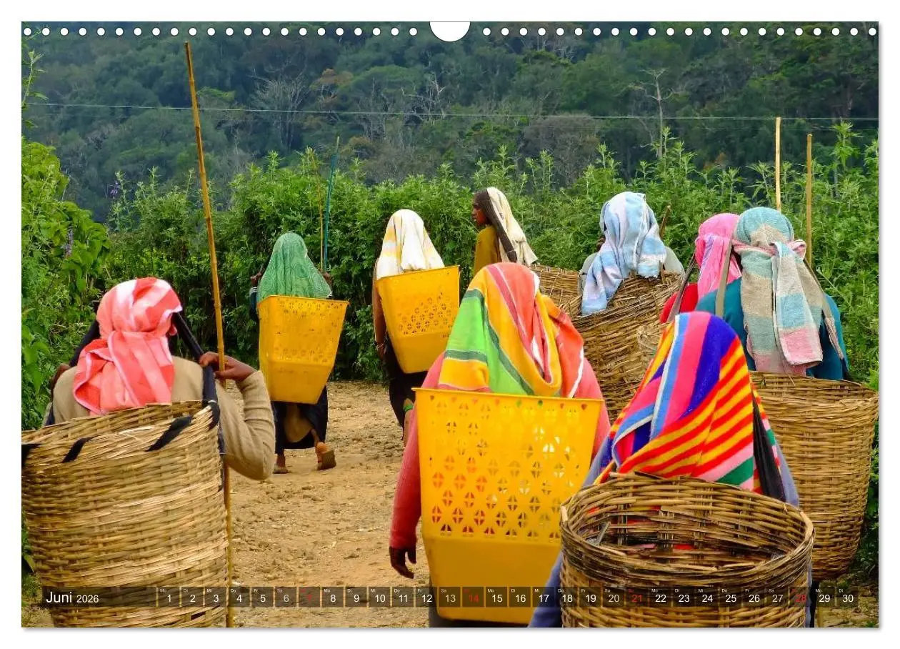 Bild: 9783516212396 | Sri Lanka - Eine Bilder-Reise (Wandkalender 2026 DIN A3 quer),...