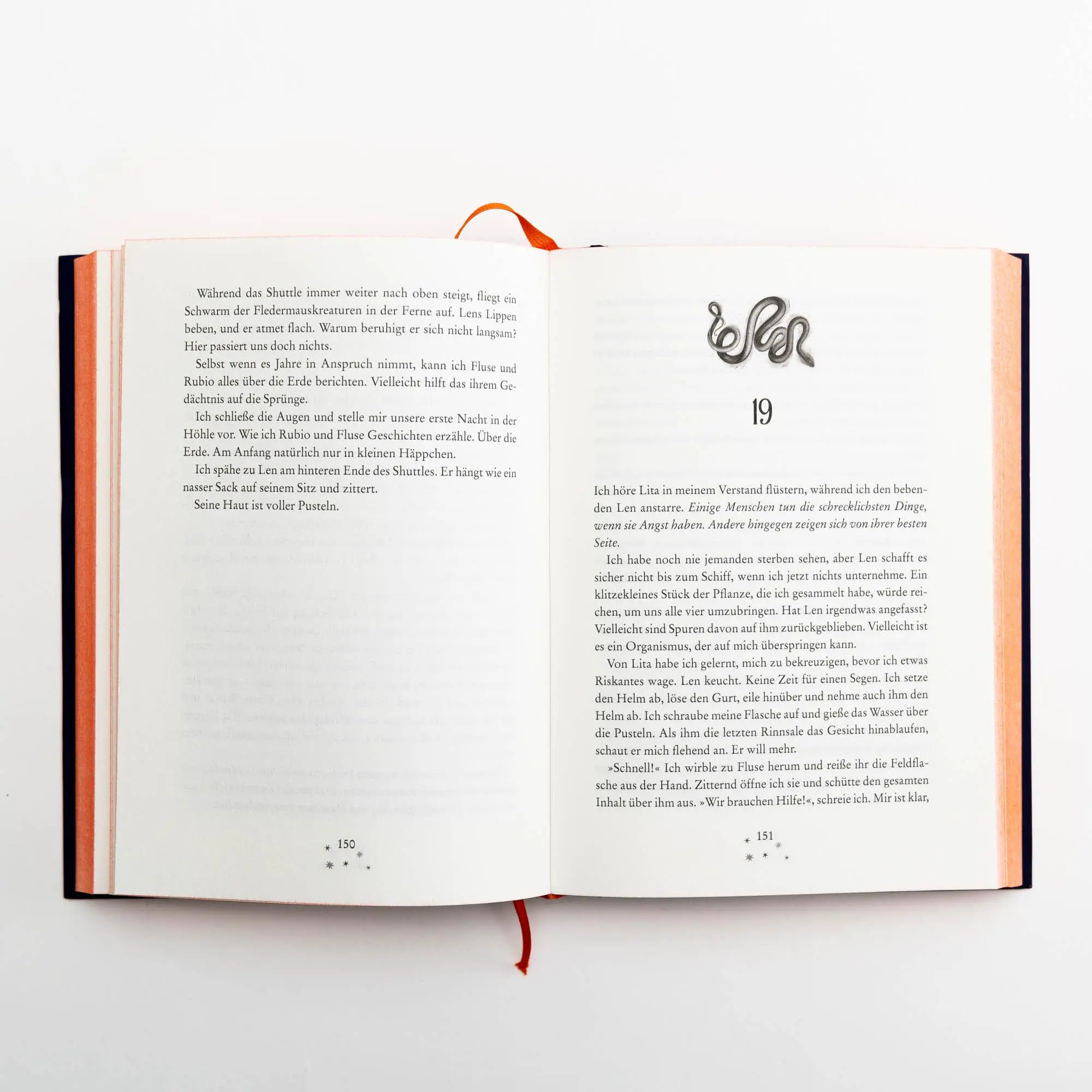 Bild: 9783748802396 | Die letzte Erzählerin | Donna Barba Higuera | Buch | 320 S. | Deutsch
