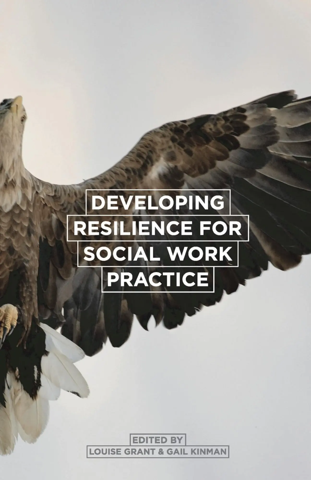 Cover: 9781137302496 | Developing Resilience for Social Work Practice | Louise Grant (u. a.)