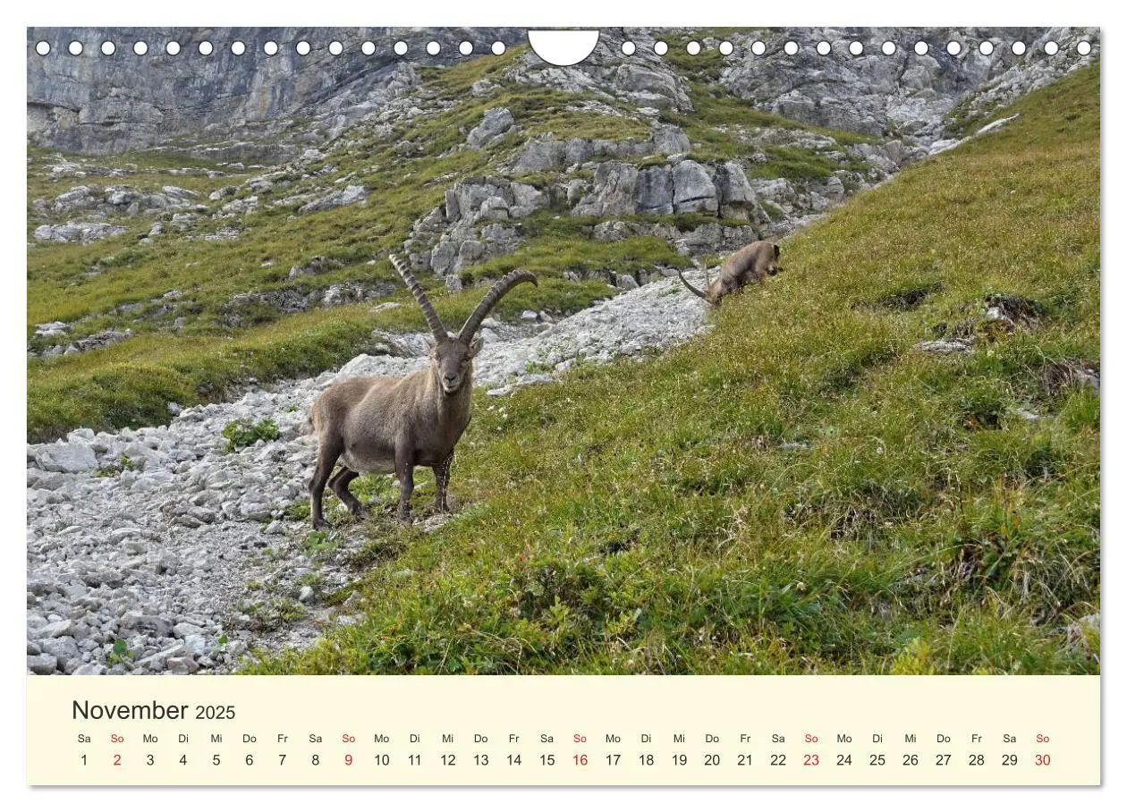 Bild: 9783435192496 | Wanderglück im Allgäu (Wandkalender 2025 DIN A4 quer), CALVENDO...