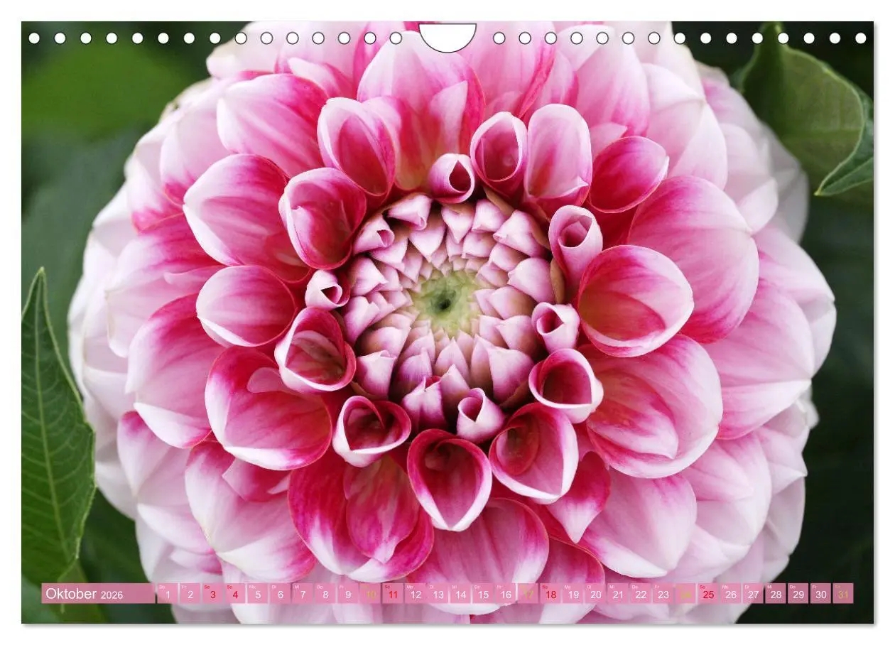 Bild: 9783457282496 | Blütenwunder - Mit Blumen durchs ganze Gartenjahr (Wandkalender...