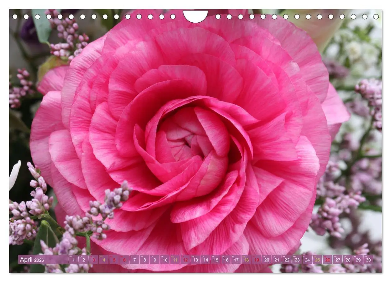 Bild: 9783457282496 | Blütenwunder - Mit Blumen durchs ganze Gartenjahr (Wandkalender...