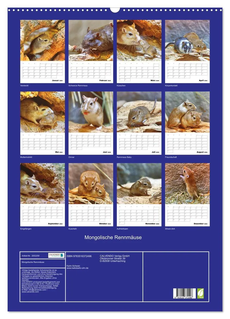 Bild: 9783516372496 | Mongolische Rennmäuse (Wandkalender 2026 DIN A2 hoch), CALVENDO...