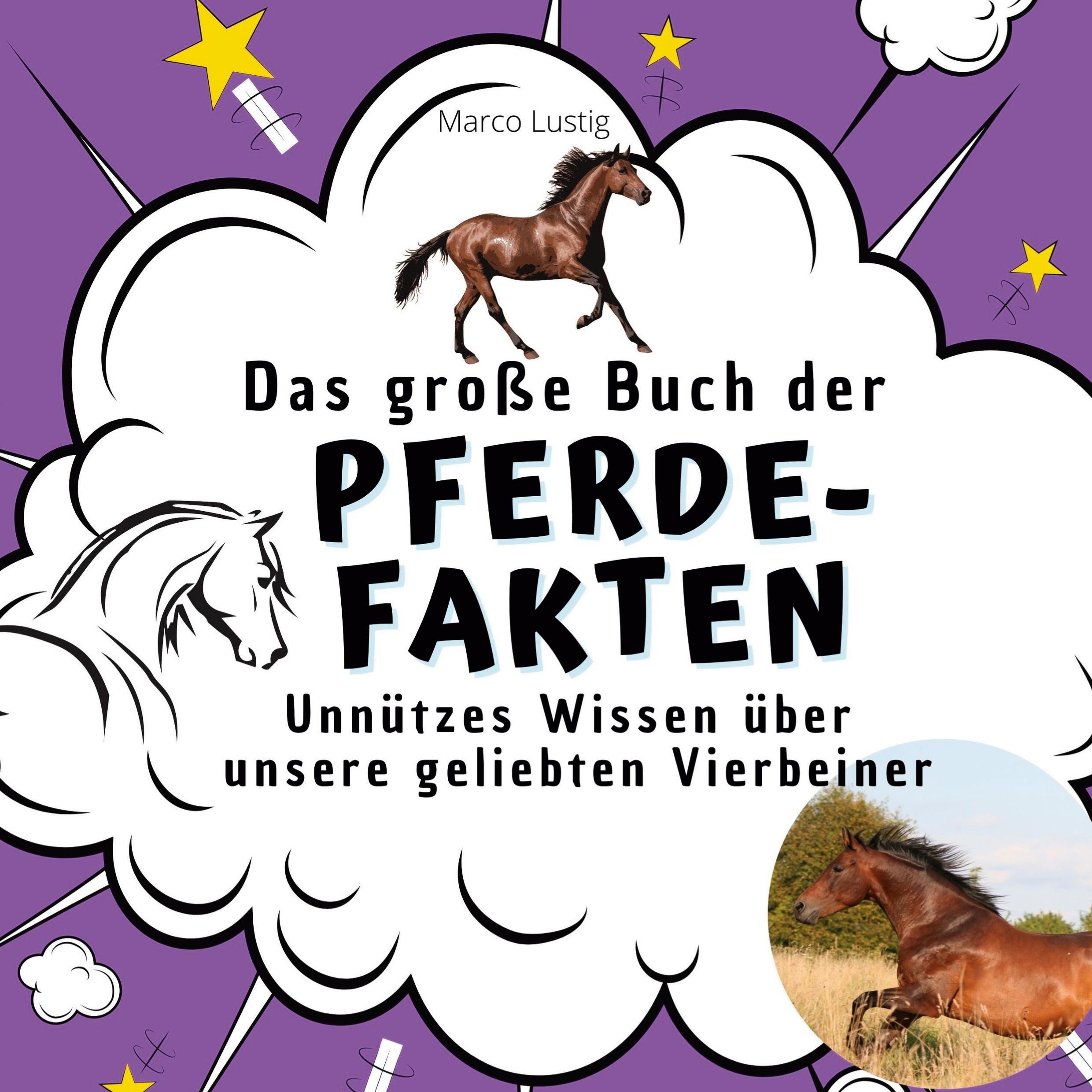 Cover: 9783750532496 | Das große Buch der Pferde-Fakten | Michaela Lau | Taschenbuch | 82 S.