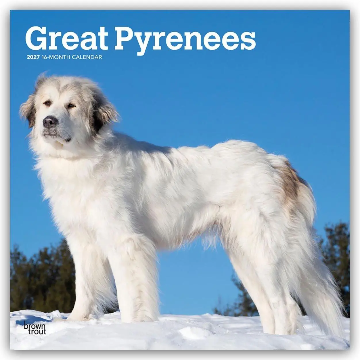 Cover: 9798330712496 | Great Pyrenees - Pyrenäenberghund 2027 - 16-Monatskalender | Kalender