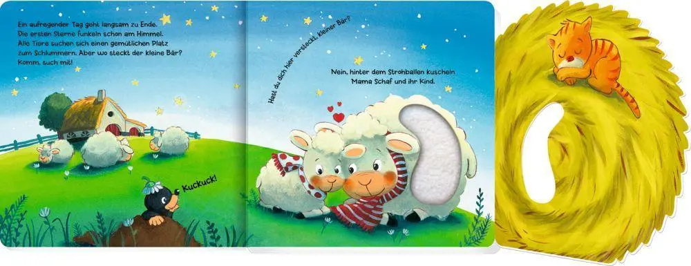 Bild: 9783649642596 | Mein erstes Guckloch-Fühlbuch: Kleiner Bär, wo bist du? | Buch | 10 S.