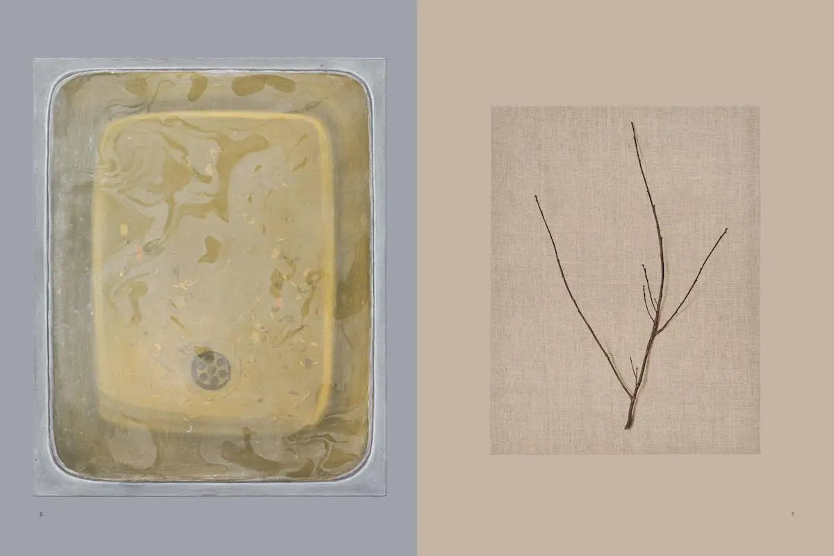 Bild: 9783775752596 | Helene Appel | Among Trees, Among Sand Grains | Studio Helene Appel