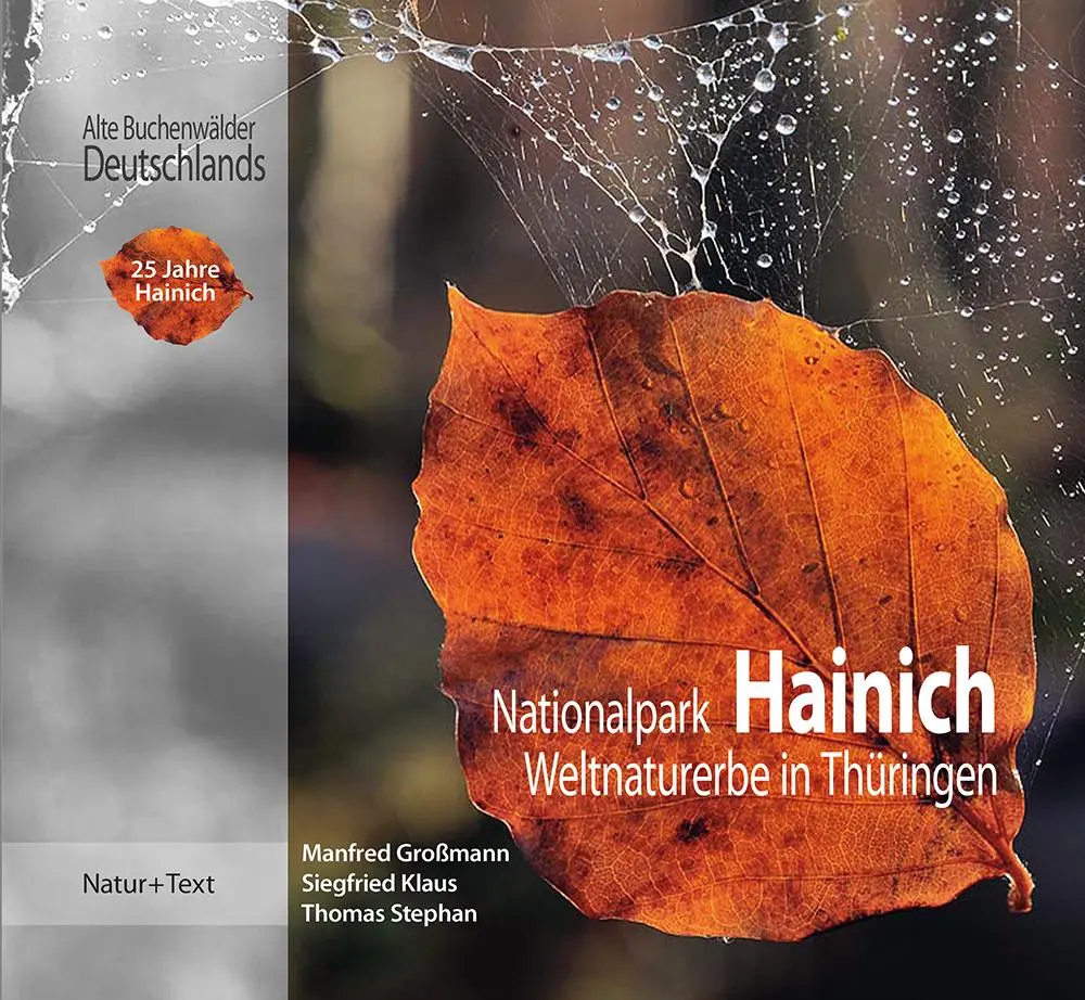 Cover: 9783942062596 | Nationalpark Hainich | Weltnaturerbe in Thüringen | Stephan (u. a.)