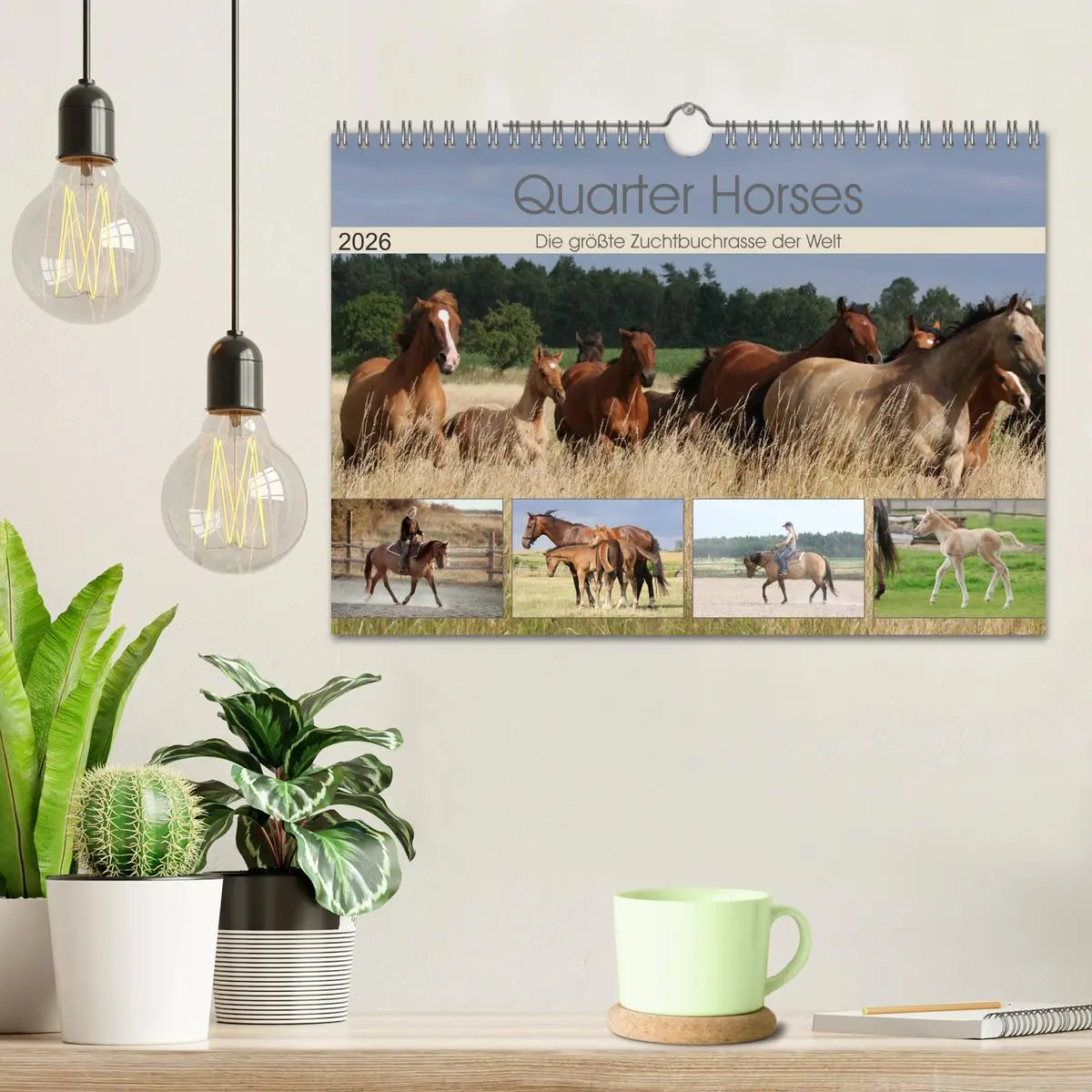Bild: 9783457882696 | Quarter Horses - Die größte Zuchtbuchrasse der Welt (Wandkalender...