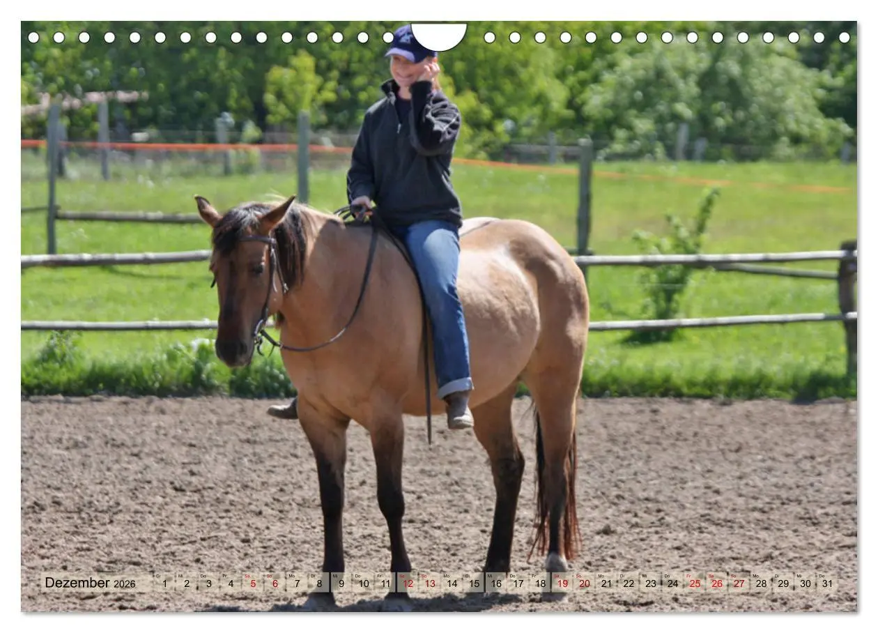 Bild: 9783457882696 | Quarter Horses - Die größte Zuchtbuchrasse der Welt (Wandkalender...