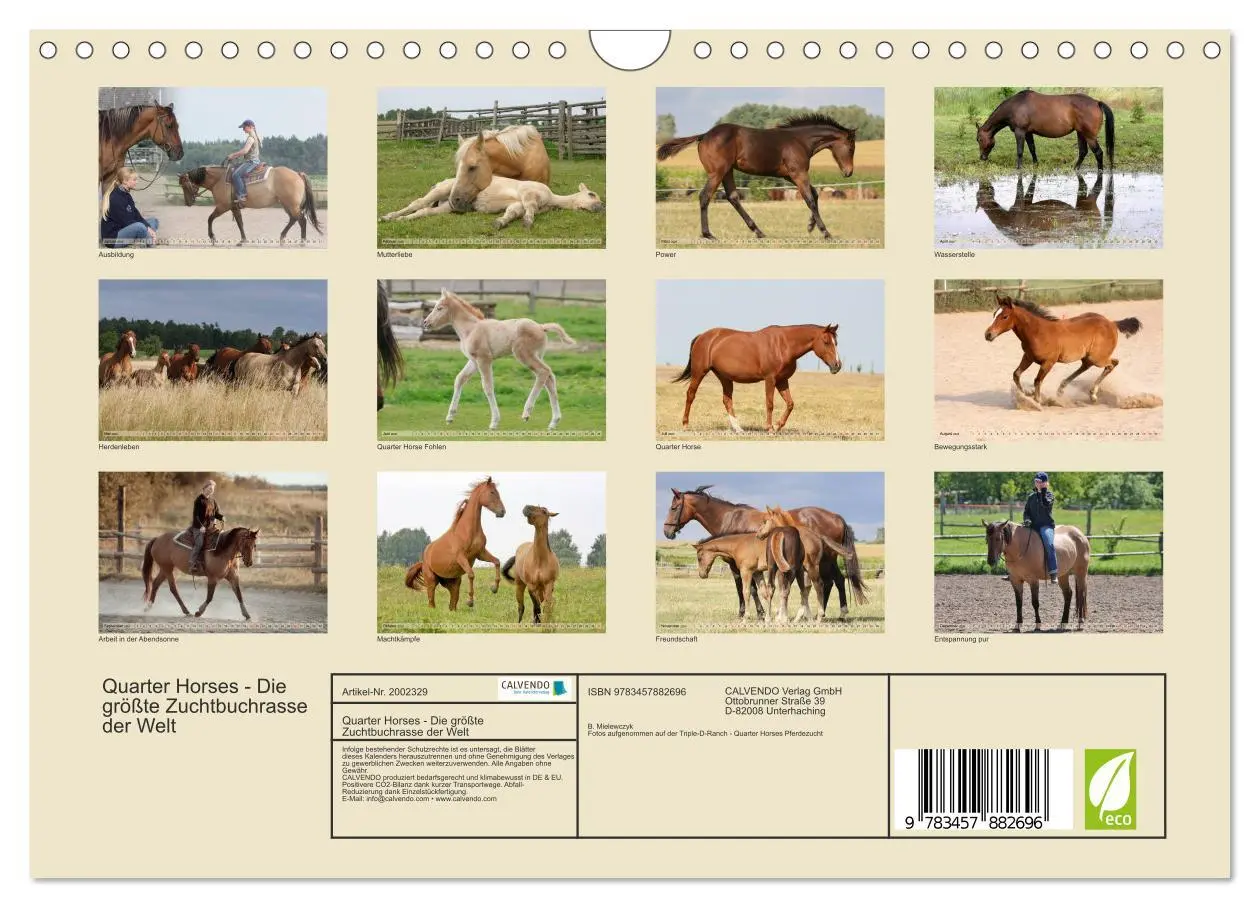 Bild: 9783457882696 | Quarter Horses - Die größte Zuchtbuchrasse der Welt (Wandkalender...
