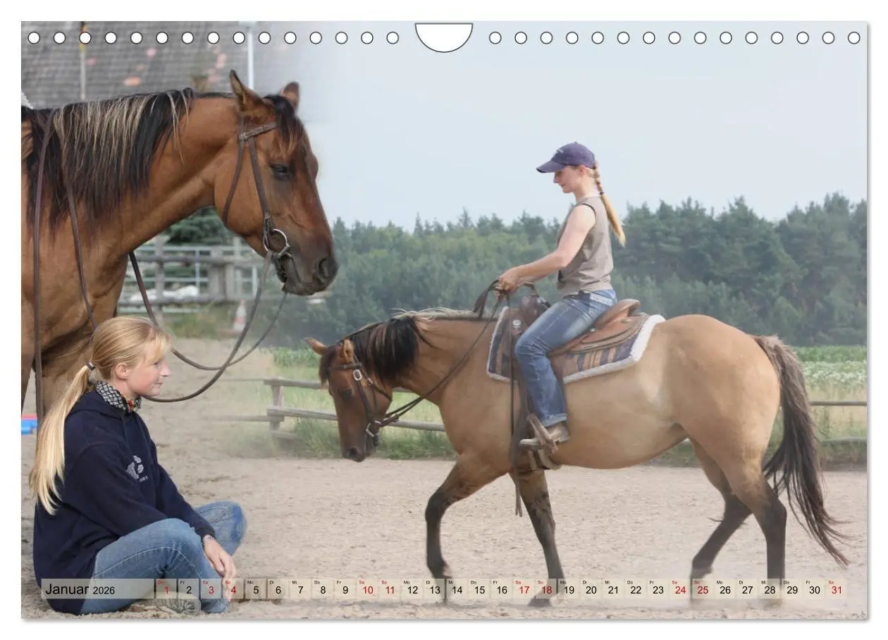 Bild: 9783457882696 | Quarter Horses - Die größte Zuchtbuchrasse der Welt (Wandkalender...