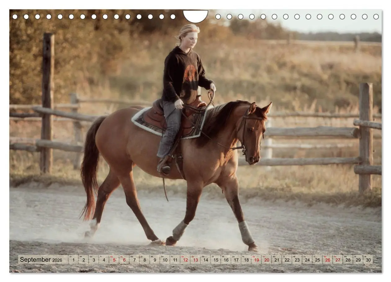 Bild: 9783457882696 | Quarter Horses - Die größte Zuchtbuchrasse der Welt (Wandkalender...