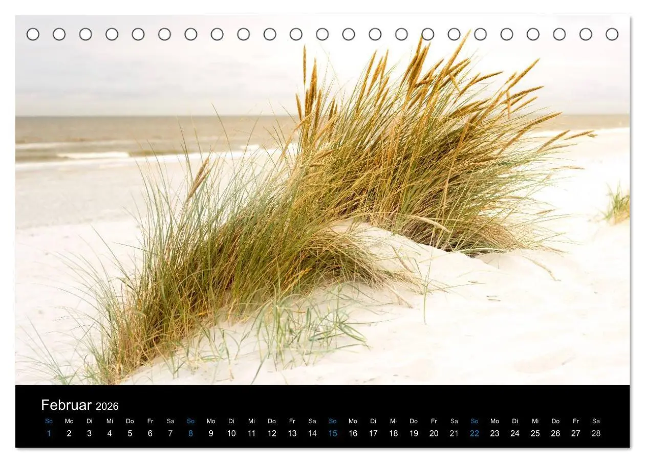 Bild: 9783457952696 | Grüße aus Texel (Tischkalender 2026 DIN A5 quer), CALVENDO...