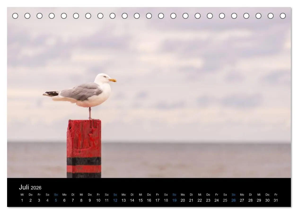 Bild: 9783457952696 | Grüße aus Texel (Tischkalender 2026 DIN A5 quer), CALVENDO...