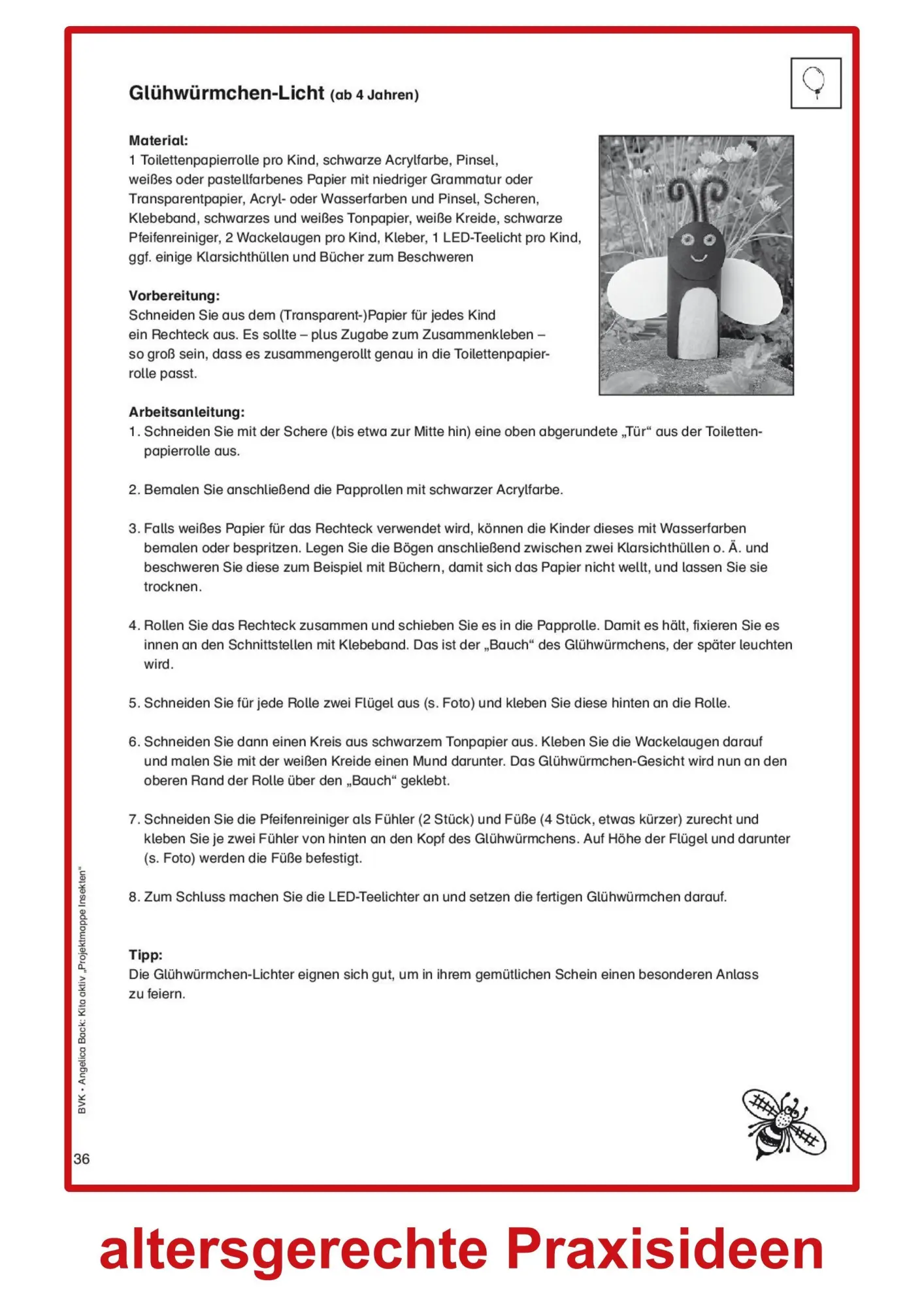 Bild: 9783965202696 | Kita aktiv Projektmappe Insekten | Angelica Back | Broschüre | 48 S.