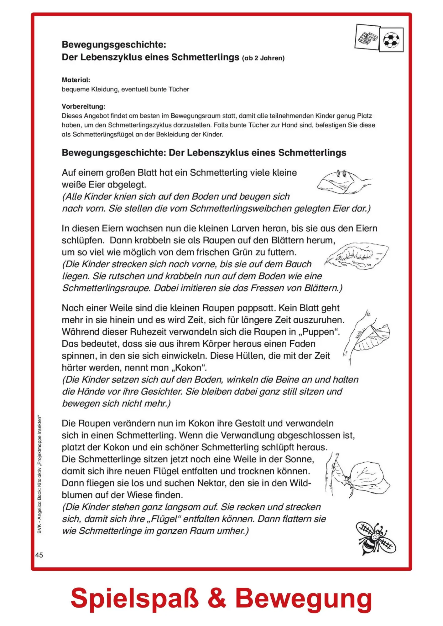 Bild: 9783965202696 | Kita aktiv Projektmappe Insekten | Angelica Back | Broschüre | 48 S.
