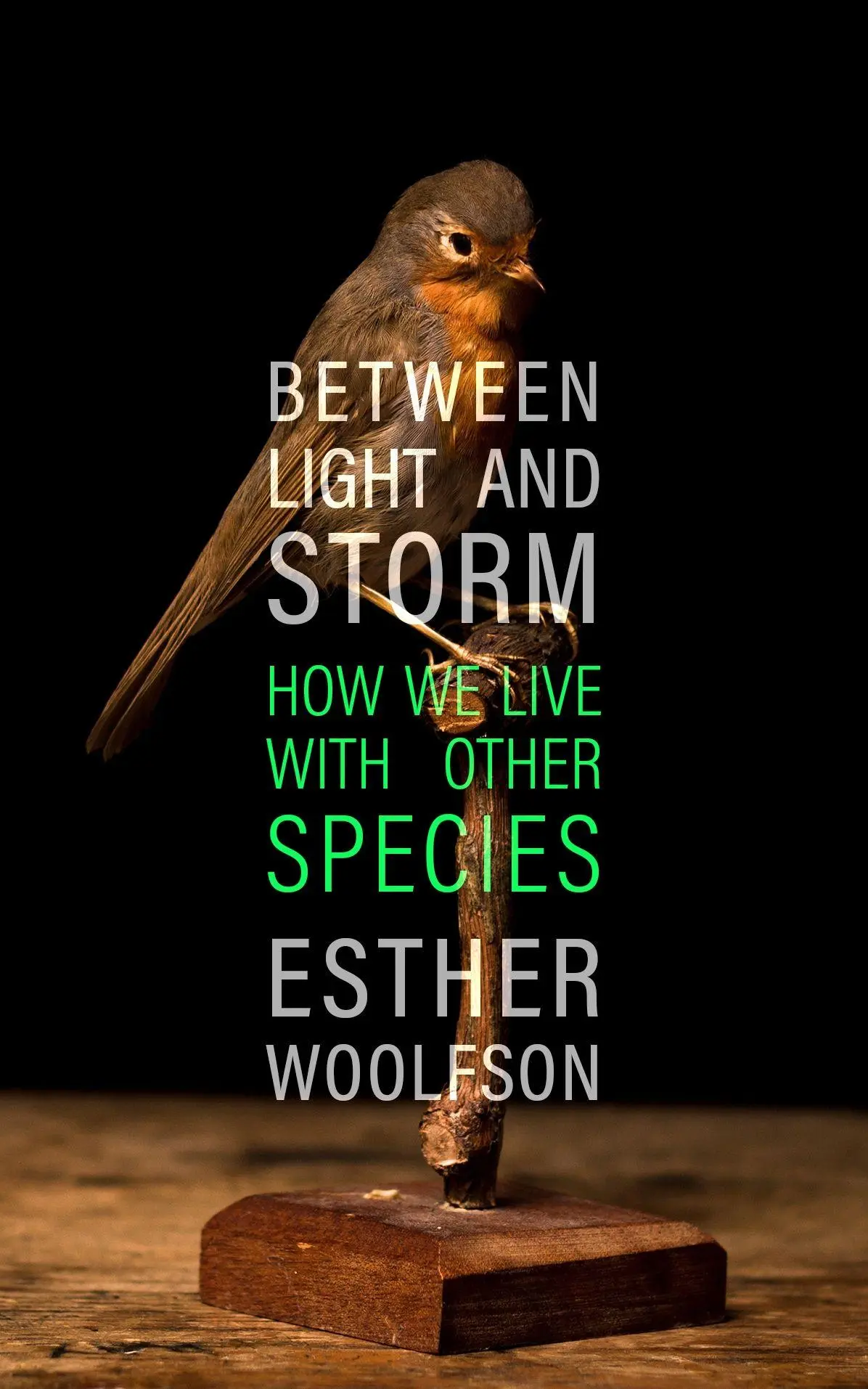 Cover: 9781783782796 | Between Light and Storm | How We Live With Other Species | Woolfson
