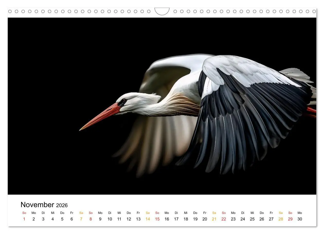 Bild: 9783457322796 | Wilde Heimat - Vögel unserer Natur (Wandkalender 2026 DIN A3 quer),...