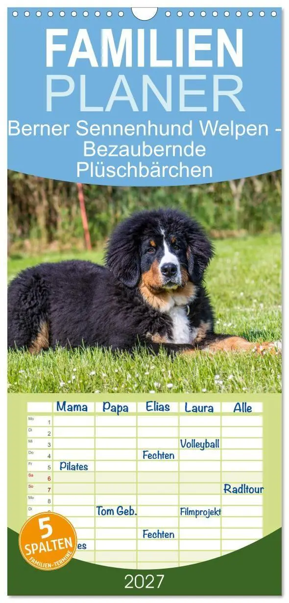 Cover: 9783594322796 | Familienplaner 2027 - Berner Sennenhund Welpen - Bezaubernde...