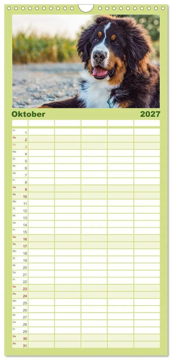 Bild: 9783594322796 | Familienplaner 2027 - Berner Sennenhund Welpen - Bezaubernde...