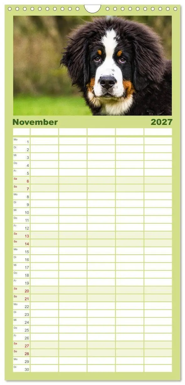 Bild: 9783594322796 | Familienplaner 2027 - Berner Sennenhund Welpen - Bezaubernde...